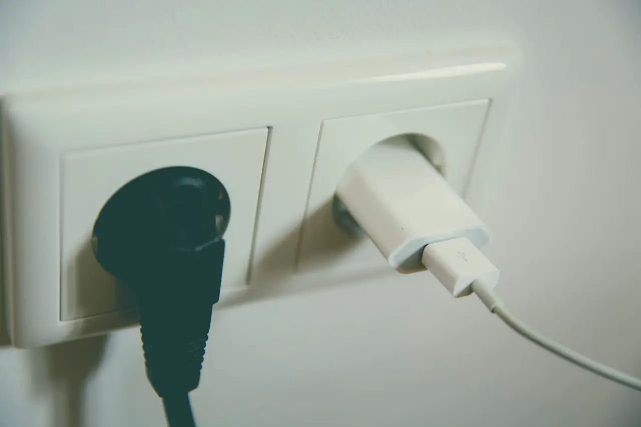 electric plugs in socket